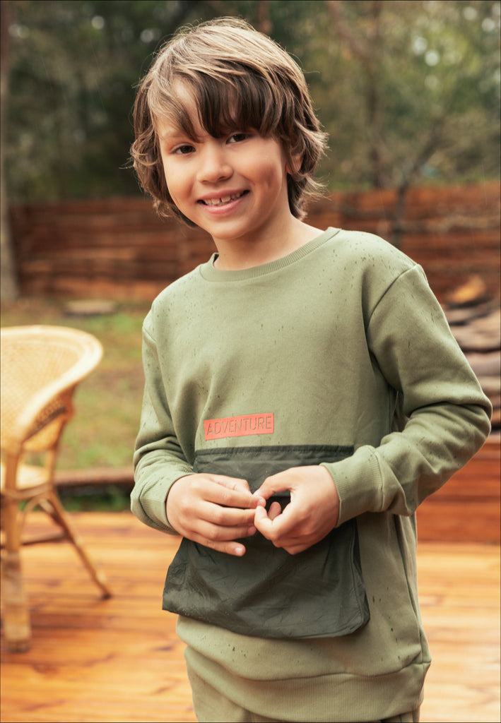 Organic-Bassi sweatshirt