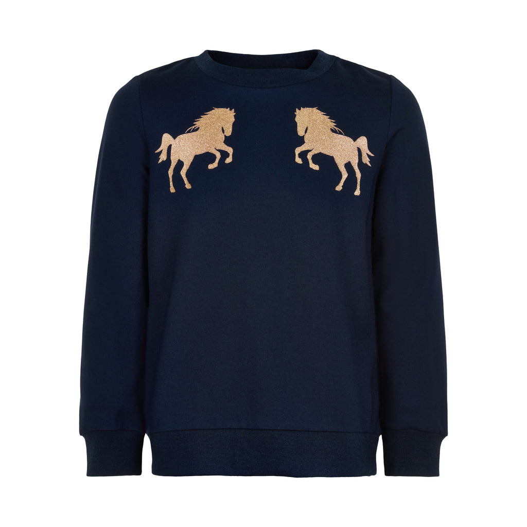 Tennesee sweatshirt